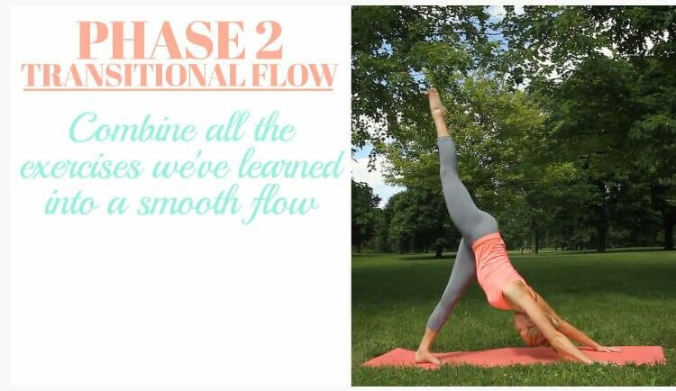Phase 2 Transitional Flow